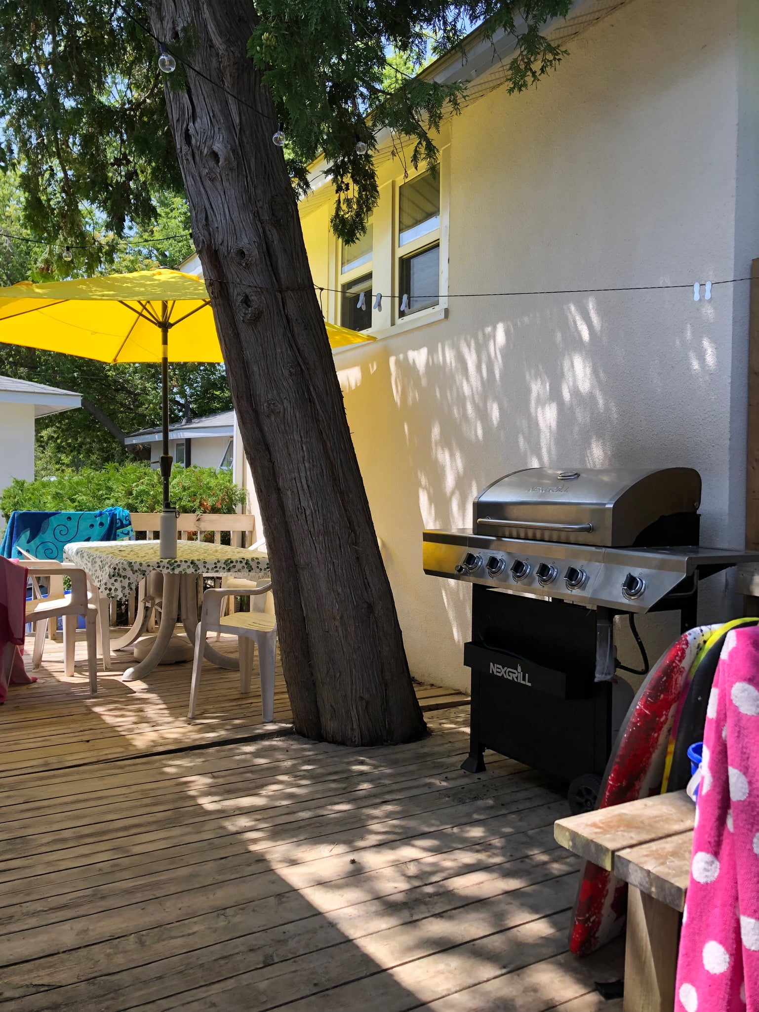 Cabin № 11 — photo 3